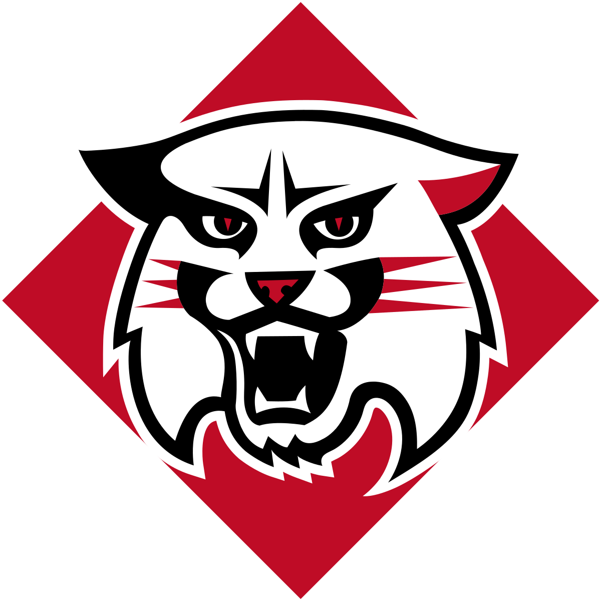 Davidson cat logo
